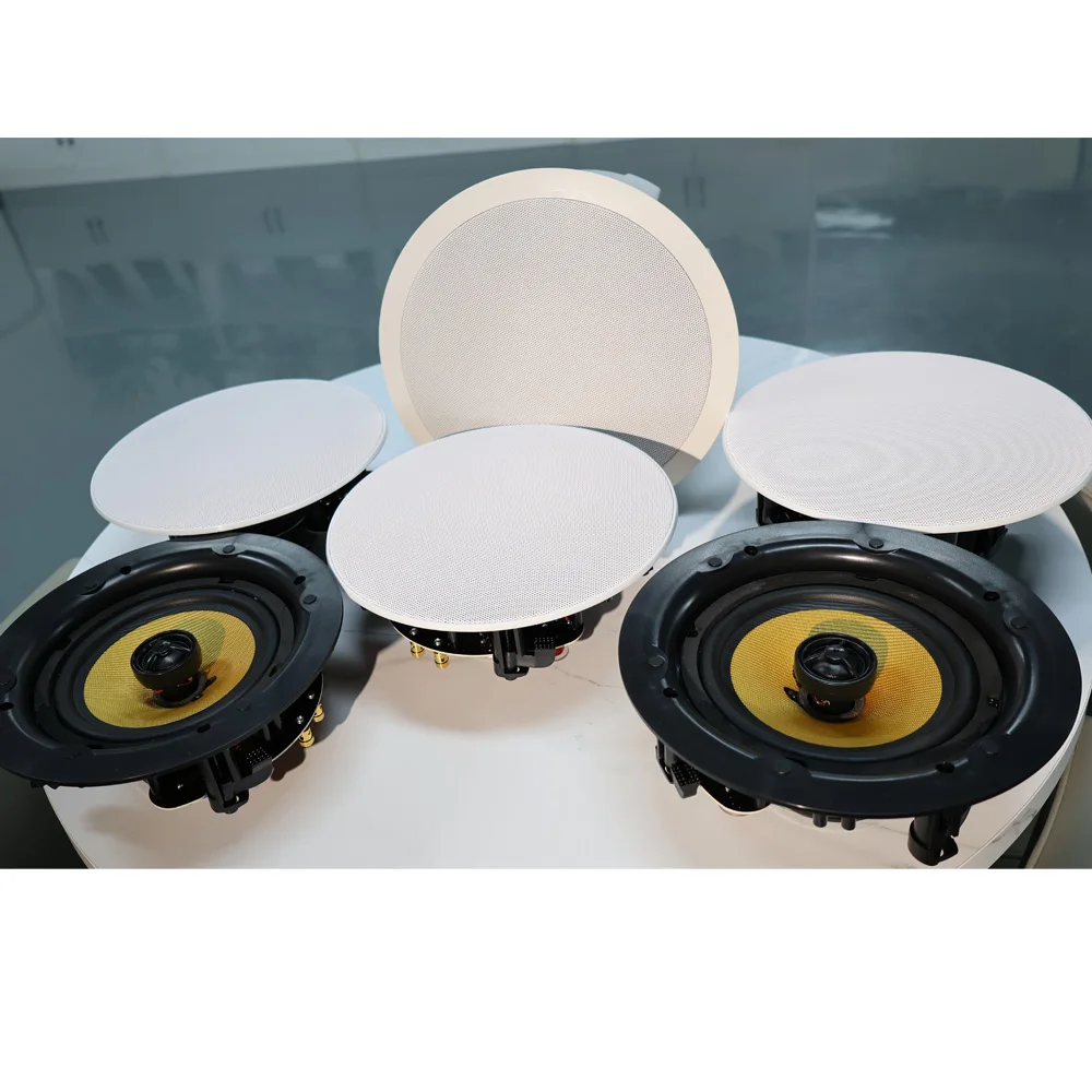TLF WiFi Bluetooth Speaker  Ce - Home Theater Speaker recensie en prijs