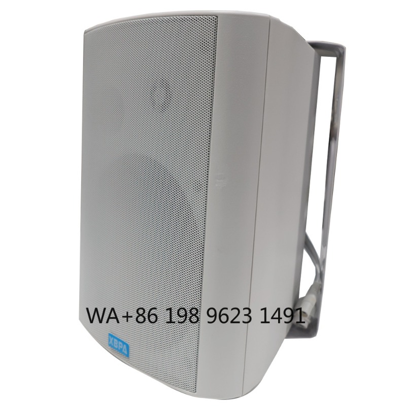 5.1 Wireless WiFi Wall Ceiling - Home Theater Speaker recensie en prijs