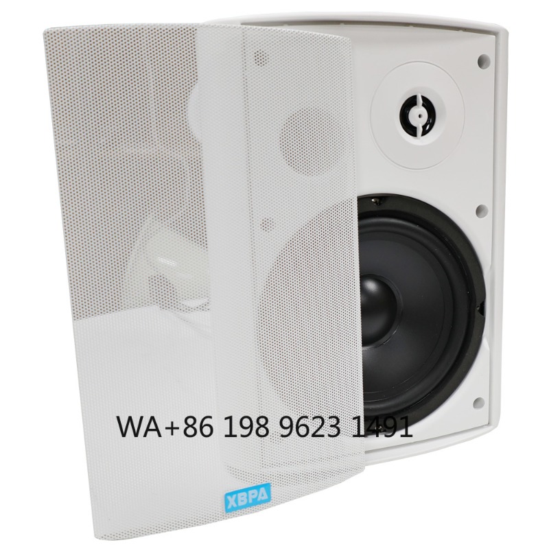 5.1 Wireless WiFi Wall Ceiling - Home Theater Speaker recensie en prijs