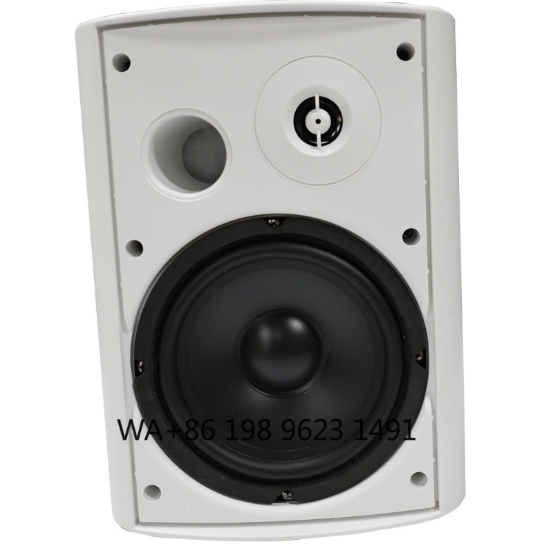 5.1 Wireless WiFi Wall Ceiling - Home Theater Speaker recensie en prijs
