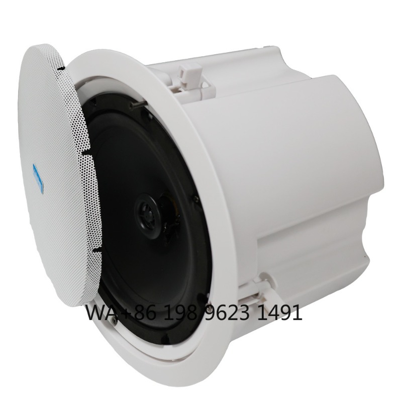 5.1 Wireless WiFi Wall Ceiling - Home Theater Speaker recensie en prijs