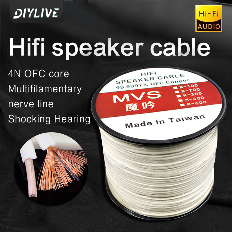 DIYLIVE HiFi Speaker line home - Home Cinema Xlr recensie en prijs