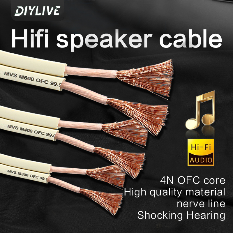 DIYLIVE HiFi Speaker line home - Home Cinema Xlr recensie en prijs