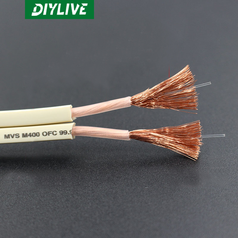 DIYLIVE HiFi Speaker line home - Home Cinema Xlr recensie en prijs